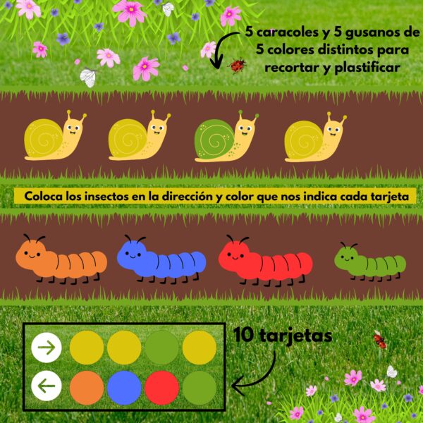 Lateralidad y colores - Imagen 2