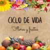 Ciclo de vida flores y frutas (primavera)