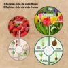 Ciclo de vida flores y frutas (primavera) - Imagen 2