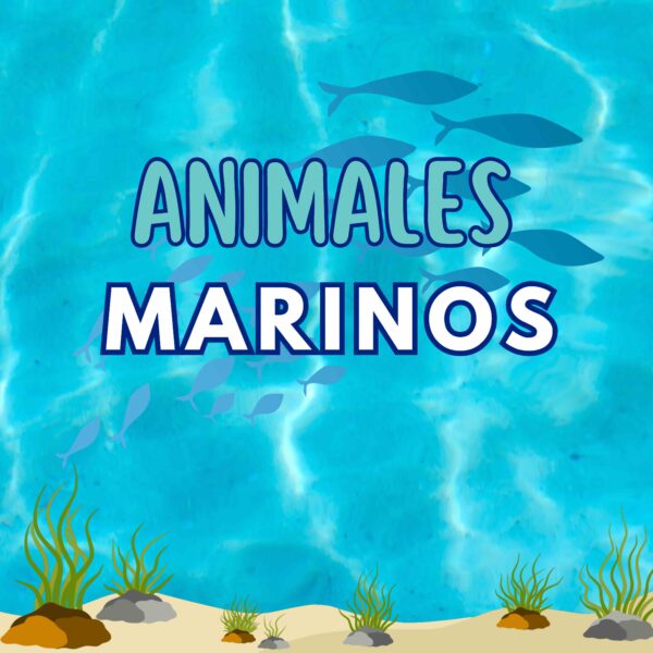 Animales marinos