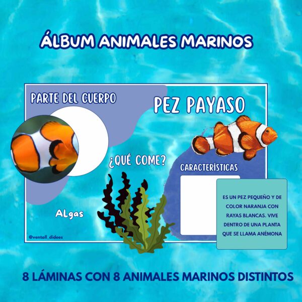 Animales marinos - Imagen 3