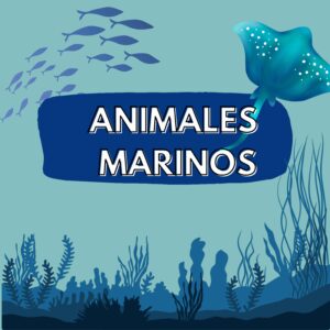 Animales marinos