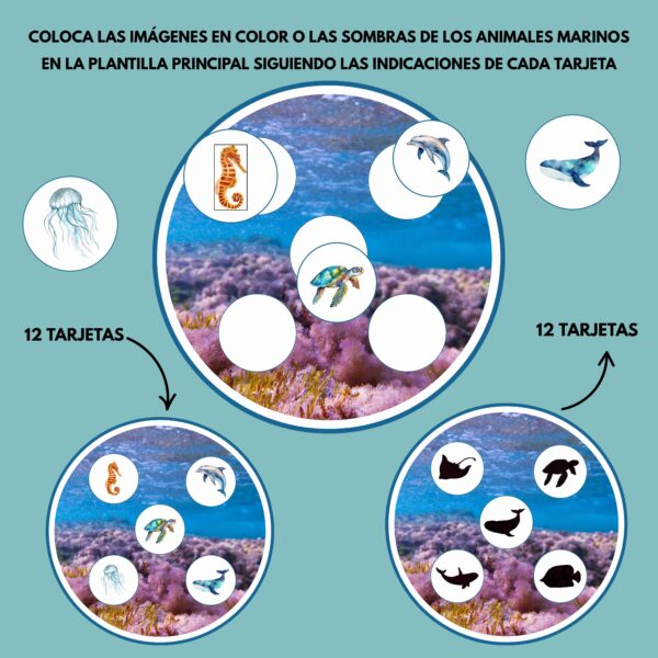 Animales marinos - Imagen 2