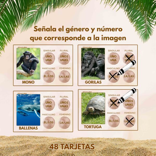 Tarjetas de animales: Género y número - Imagen 2