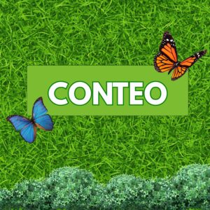 Conteo (insectos)